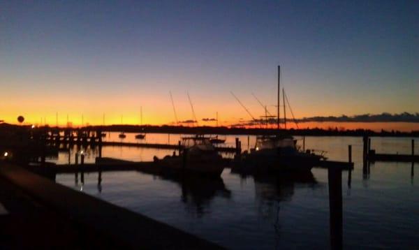 Cedar Island Marina