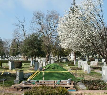 Spring blooms serve as a backdrop for a respectful funeral.