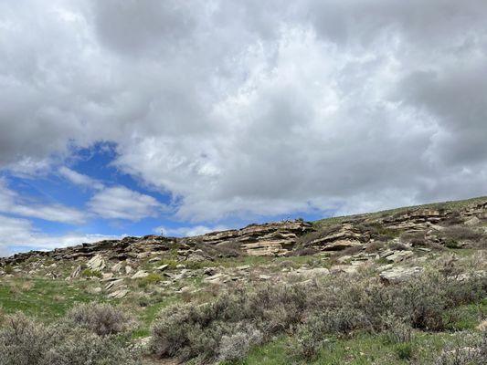 Looking up from the base of the Buffalo Jump