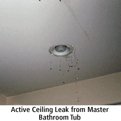 Noted active leak during home inspection.