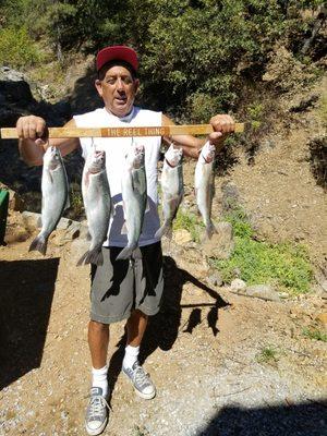 Bob is a great fishing guide ,  he knows how to catch fish. I highly recommend his fishing services on Lake shasta. He gets 5 stars