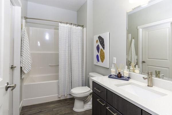 Bathroom with a shower-tub