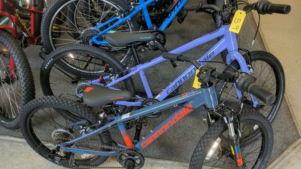 Cannondale Kids Bikes