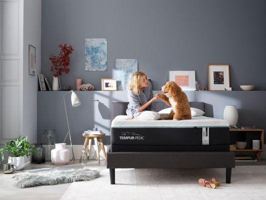 Variety of Tempur-pedic models to choose from