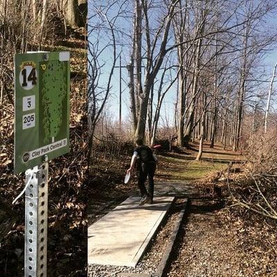 Hole 14 is a tight little shot through the woods.