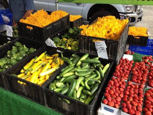 at the Downtown Oxnard Farmers Market