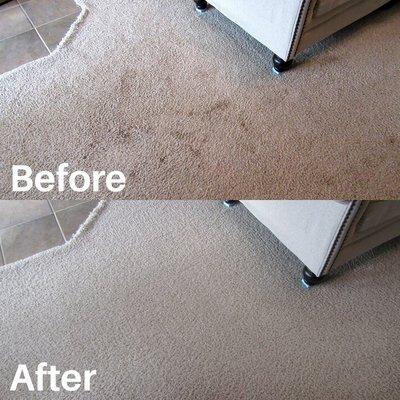 Example Carpet Cleaning Georgetown KY