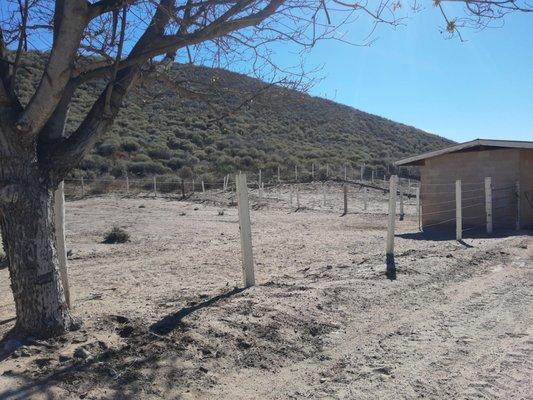 No small stalls here. Every horse has lots of room to move around and be a horse.