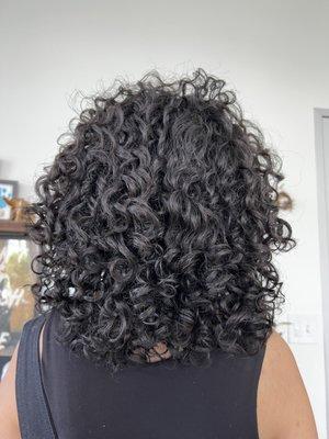 Round Curly Cut