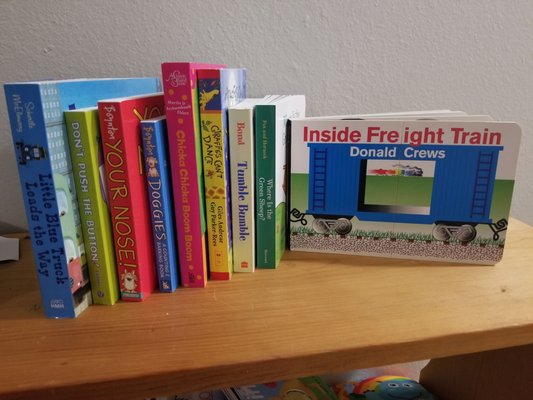 Selection of books recommended for my son by the owner, Sally Sue.