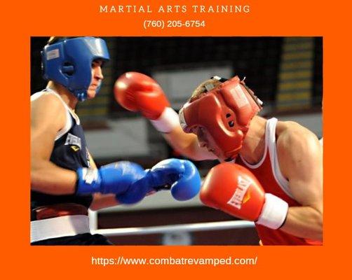 MARTIAL ARTS TRAINING