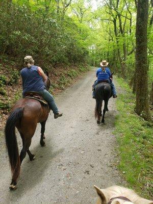 Riding the trails at nearby Moses Cone