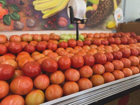 Florida fresh tomatoes