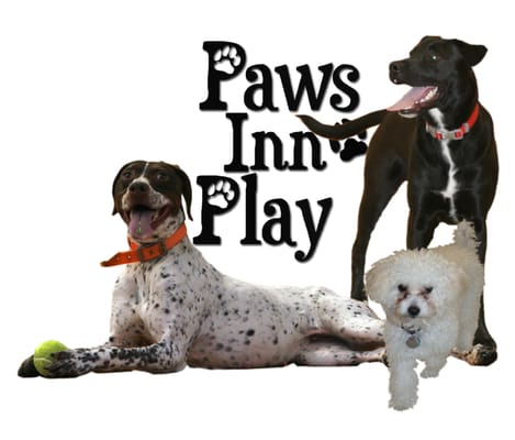 Paws Inn Play