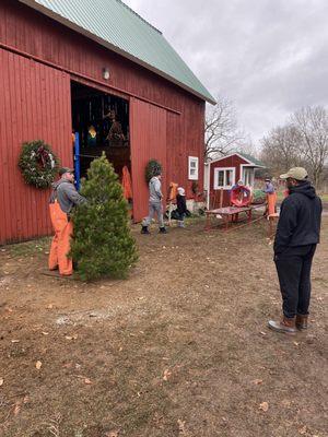 Vormittag Tree Farm