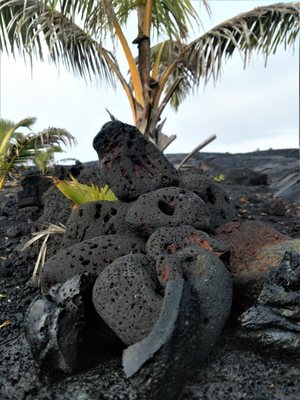 So many differences in the Pahoehoe Lava.