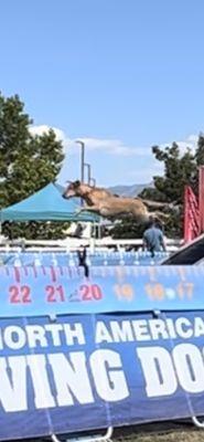 Salt Lake County Equestrian Park