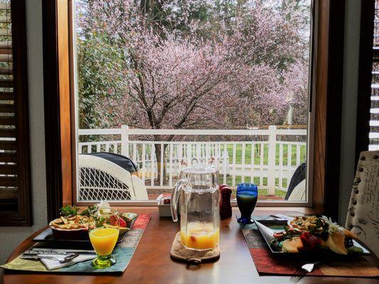 What a view to enjoy with breakfast.