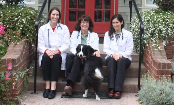 Dr. Statton, Dr. Lawson and Dr. Huckabone of Coastside Veterinary Clinic.