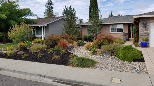 Front yard plantings filling in nicely.