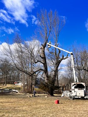 Hudson Valley Tree Removal