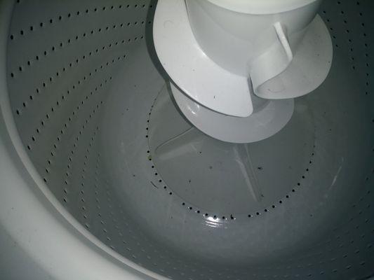 Dirty washer RAC delivered us after promising cleaned and sanitized units.