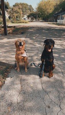 Emmy & Rosie posing on a walk