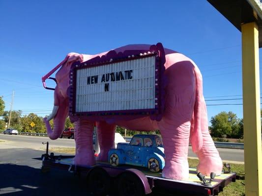 Someone needs to address the elephant in the parking lot.