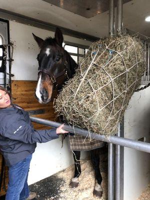 Lukens Horse Transportation