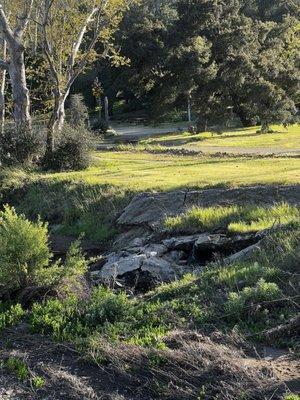 Peter Strauss Ranch