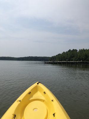 View from my rented kayak