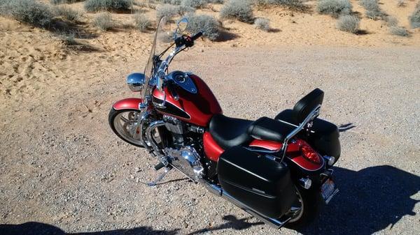 Thunderbird at The Valley of Fire