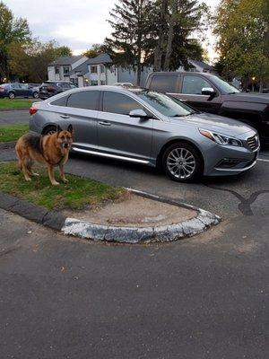 2015 Hyundai Sonata Limited with a Dead Battery @ Stop & Shop  Many Thanks to Tom and Trevor of Friendly Auto Body & Towing!