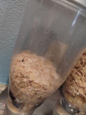 Cereal dispenser in breakfast area.