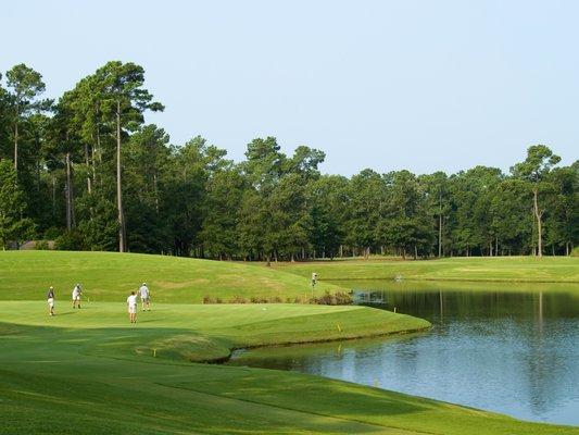 Golf Course Homes & Condos