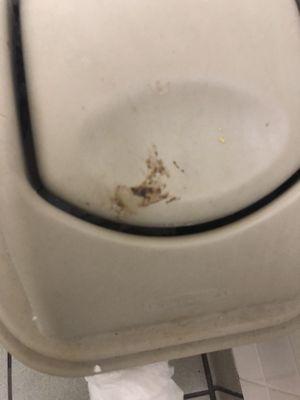 Fecal matter on the garbage top