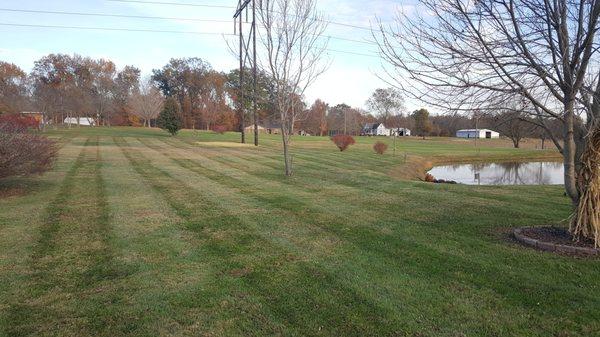 Lawn Stripes