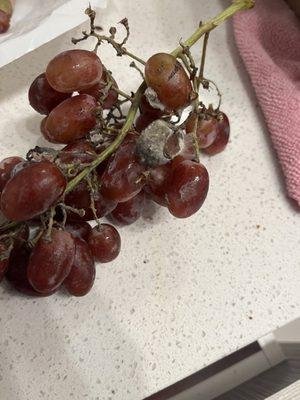 One of several rotten bunches of grapes.