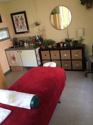 Living Tree Acupuncture treatment area, 2017