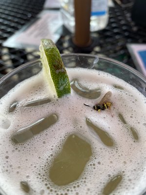 Bug in drink.