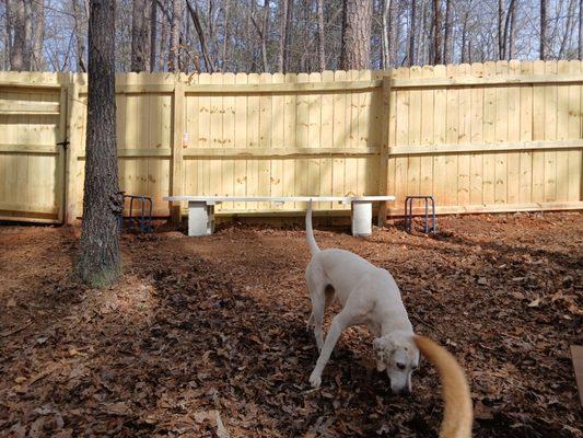 Large bench in dog park area