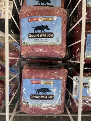 Ground Wild Boar