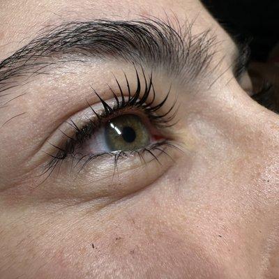 Lamination lashes