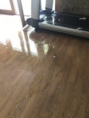 Flood restoration of hardwood floors