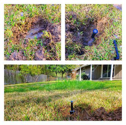 Irrigation repair