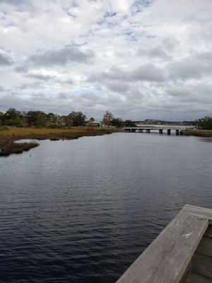 View of the bayou