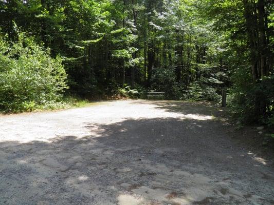 campground site in the trees