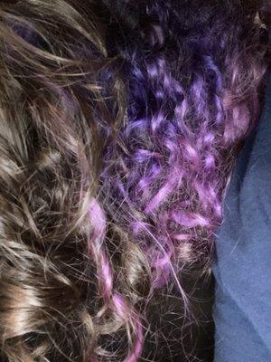 Underside of hair, curly, colored darkest purple at roots and fading to lighter purple