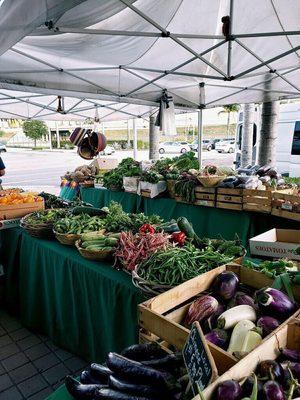 Farmer's Market