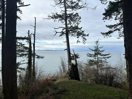 Point Roberts west side facing the Delta Port